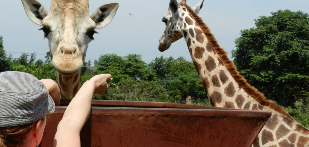 Eco-Tourism and Conservation Sites