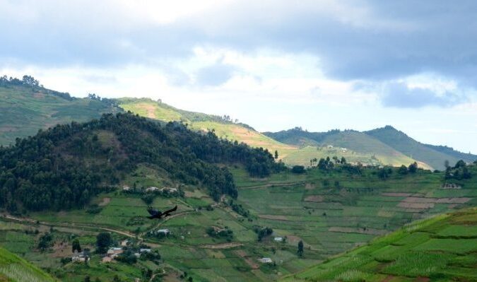 1000 Hills of Rwanda