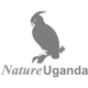 nu nu